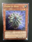 Glow-Up Bulb