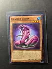 Graydle Cobra