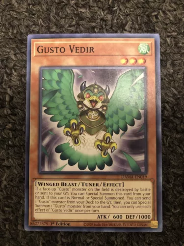 Gusto Vedir