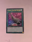 Harpie's Feather Duster