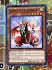 Harpie's Pet Baby Dragon