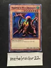 Harpie's Pet Dragon