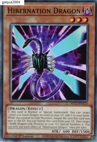Hibernation Dragon
