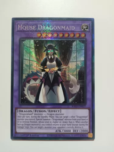 House Dragonmaid