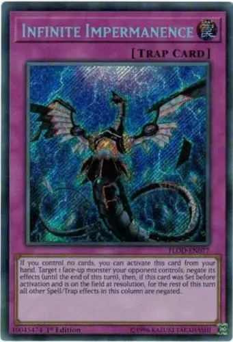 Infinite Impermanence