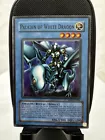Paladin of White Dragon