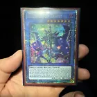 Illusion of Chaos