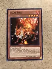 Inari Fire
