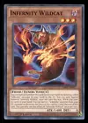 Infernity Wildcat