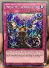 Infinite Impermanence