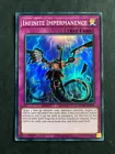 Infinite Impermanence