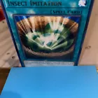 Insect Imitation