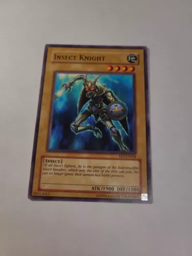 Insect Knight