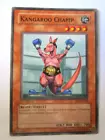 Kangaroo Champ