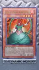 Koa'ki Meiru Gravirose