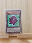 Kuribee
