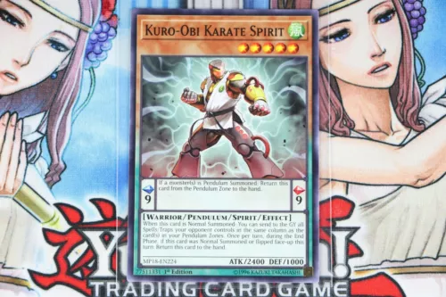Kuro-Obi Karate Spirit