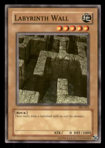 Labyrinth Wall