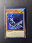 Lantern Shark