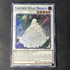 Garden Rose Maiden