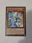 Silent Magician LV8