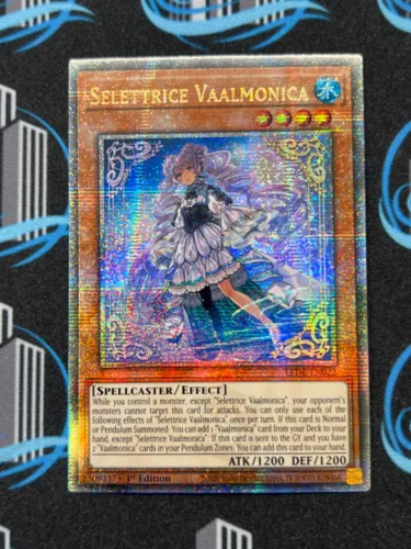 Selettrice Vaalmonica