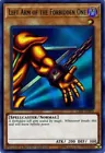 Left Arm of the Forbidden One