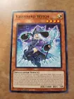 Krishnerd Witch