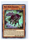 Red Rose Dragon