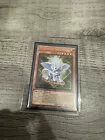 Lightsworn Dragonling