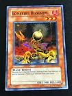 Lonefire Blossom
