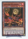 Fire Formation - Tenken
