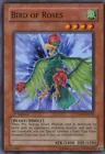 Bird of Roses