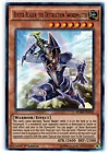 Buster Blader, the Destruction Swordmaster