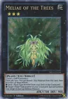 Meliae of the Trees