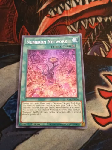 Numeron Network