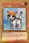 Rescue Cat