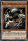 Ryko, Twilightsworn Fighter
