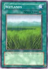 Wetlands