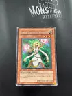 Lumina, Lightsworn Summoner