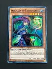 Magician of Faithfulness