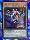 White Night Dragon