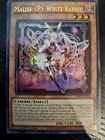 Skilled White Magician