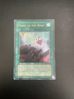 Mark of the Rose