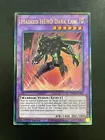 Masked HERO Dark Law