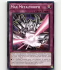 Max Metalmorph