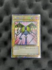 Mechanicalchaser