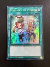 Medallion of the Ice Barrier