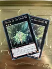 Meliae of the Trees