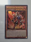 Metalflame Swordsman